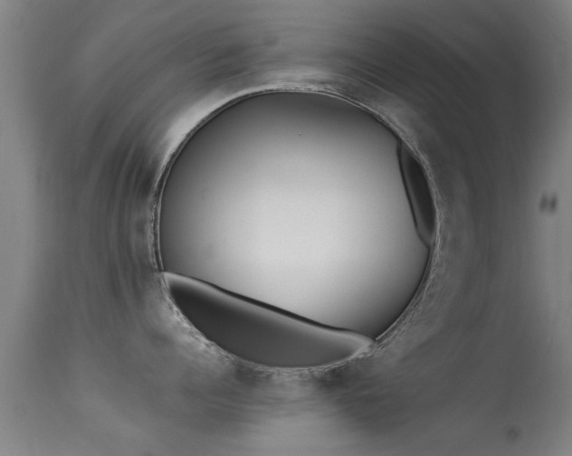 X0000113290960200909211100