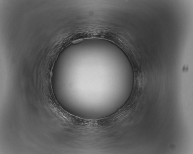 X0000113290961200909211100