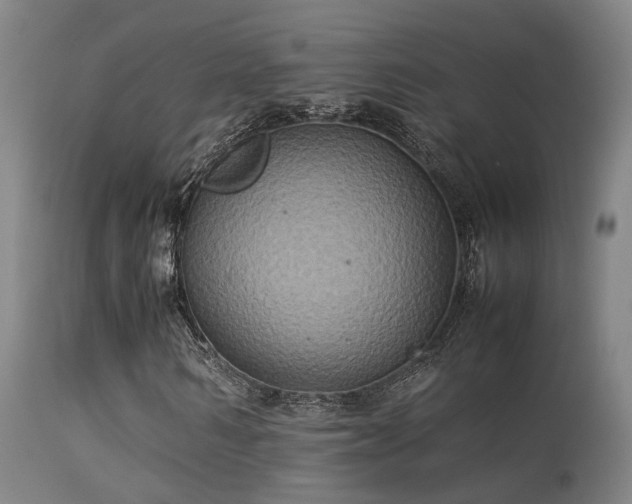 X0000113290962200909211100