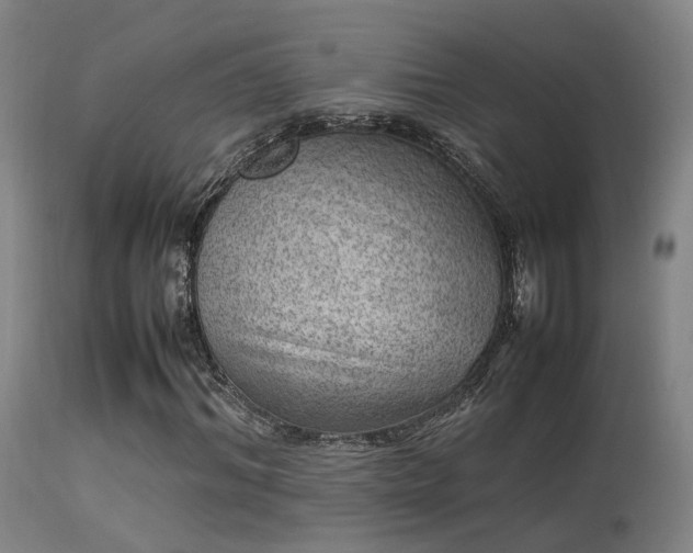 X0000113290964200909211100