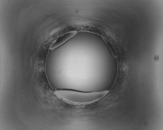 X0000113290965200909211100