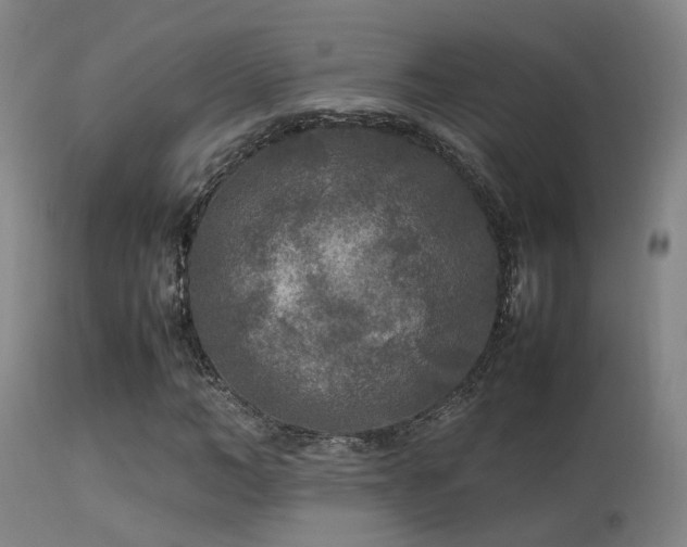 X0000113290966200909211100