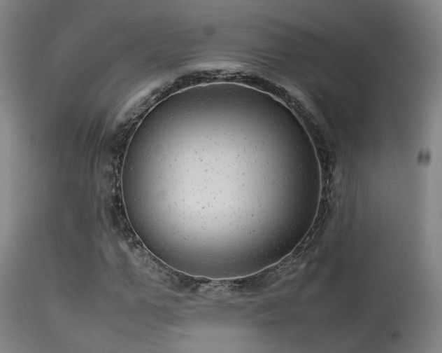 X0000113290967200909211100