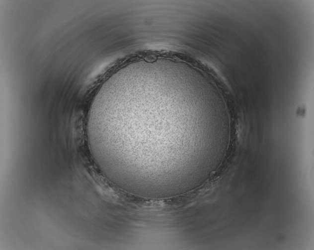 X0000113290968200909211100