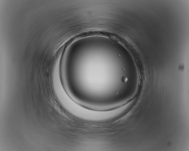 X0000113290969200909211100