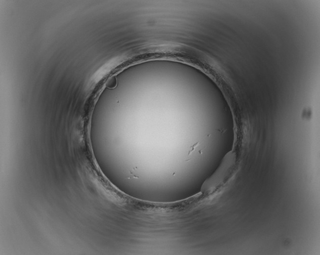 X0000113290970200909211100