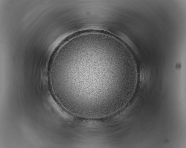 X0000113290972200909211100