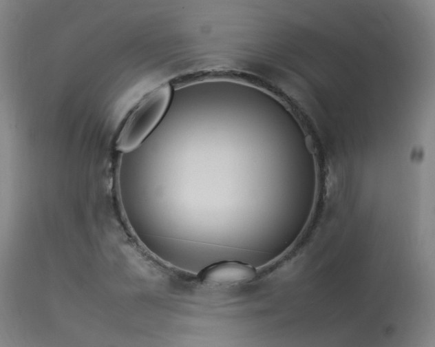 X0000113290973200909211100