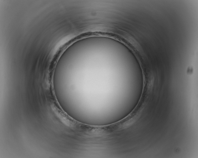 X0000113290974200909211100