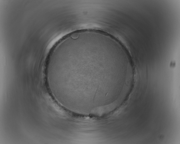 X0000113290975200909211100