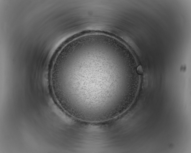 X0000113290976200909211100