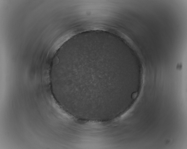 X0000113290977200909211100