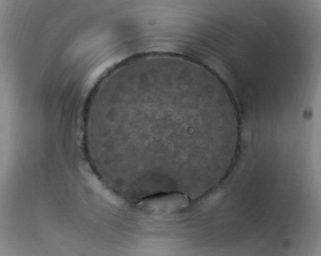 X0000113290979200909211100