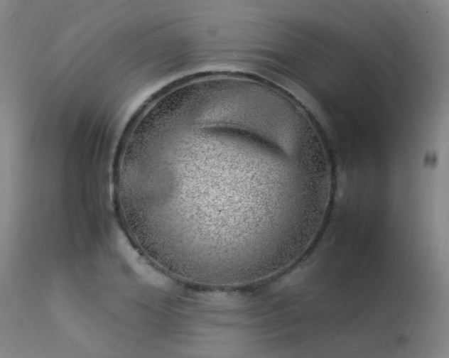 X0000113290980200909211100