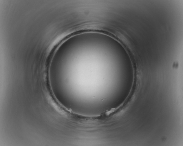 X0000113290981200909211100