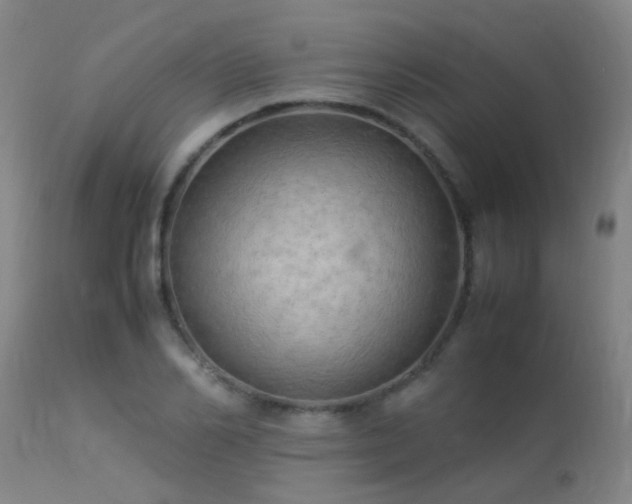 X0000113290982200909211100