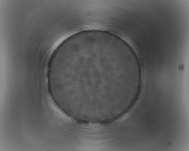 X0000113290983200909211100