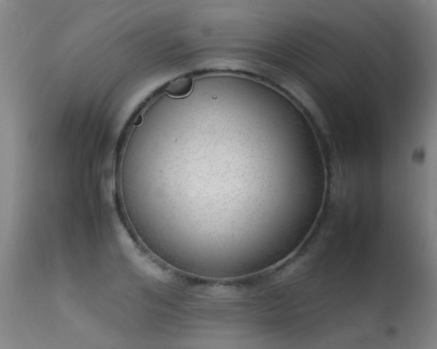 X0000113290984200909211059