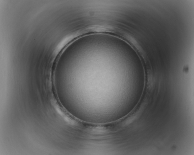 X0000113290986200909211059