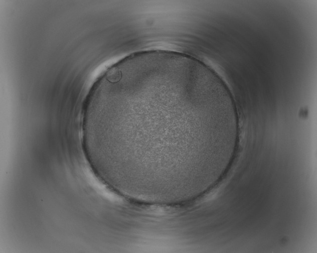 X0000113290987200909211059