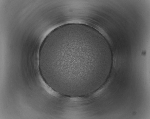 X0000113290988200909211059