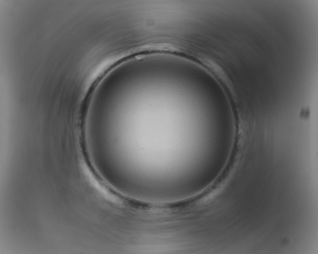 X0000113290989200909211059