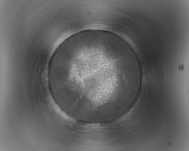 X0000113290990200909211059