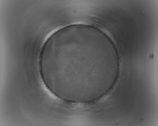 X0000113290991200909211059