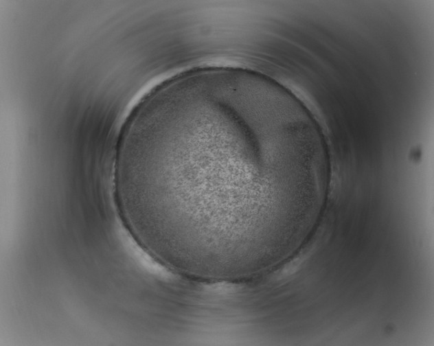 X0000113290992200909211059