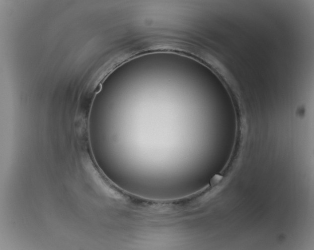 X0000113290993200909211059