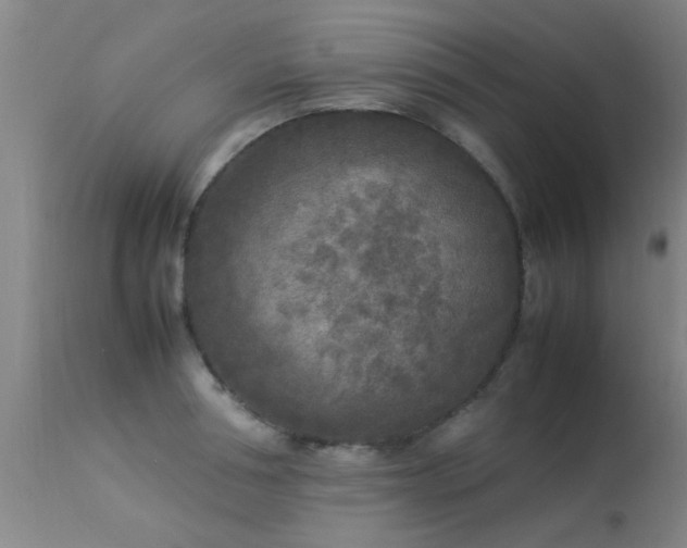 X0000113290994200909211059