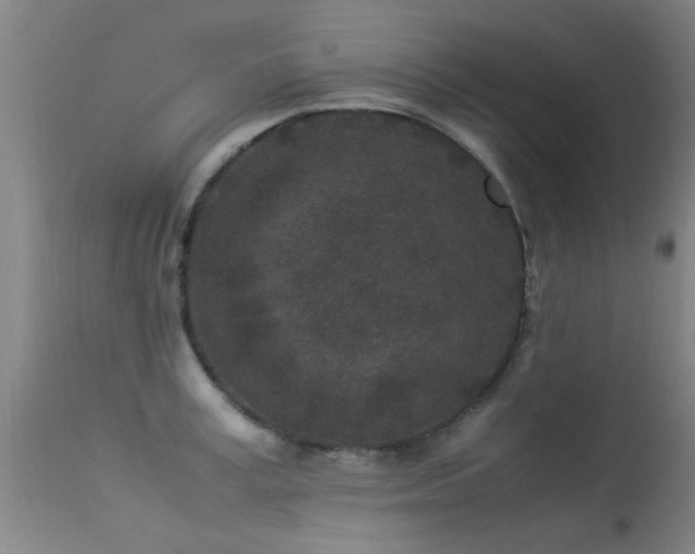 X0000113290995200909211059