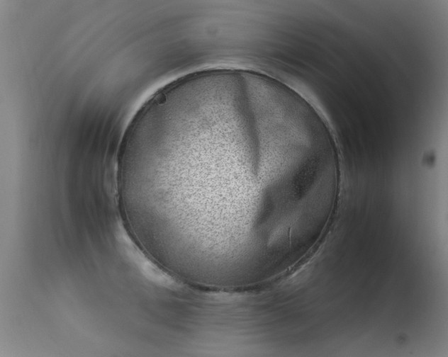 X0000113290996200909211059