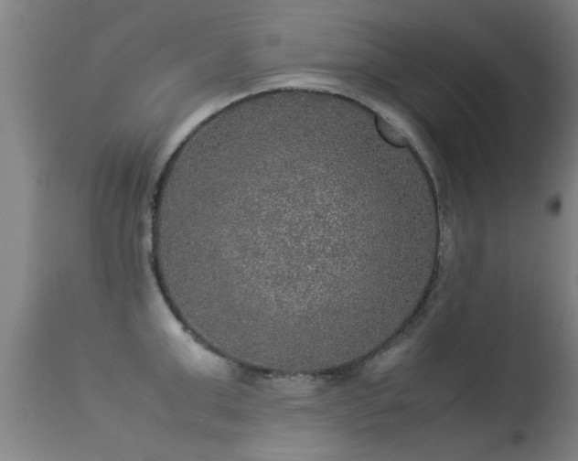 X0000113290999200909211059