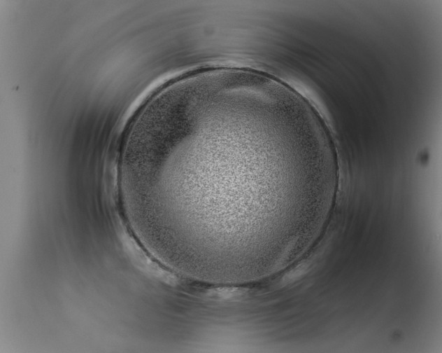 X0000113291000200909211059