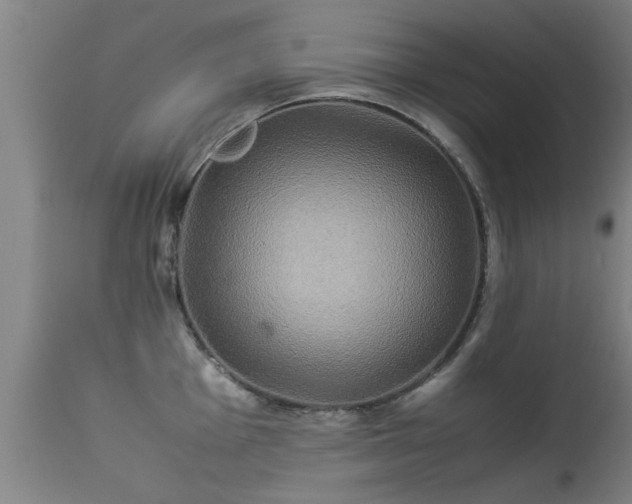 X0000113291001200909211059