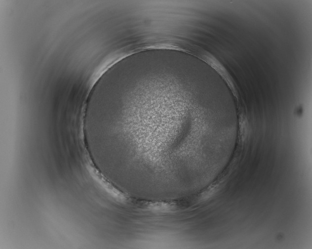 X0000113291002200909211059