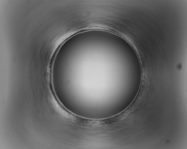 X0000113291003200909211059