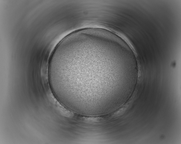 X0000113291004200909211059