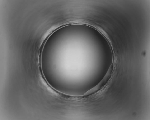 X0000113291005200909211059