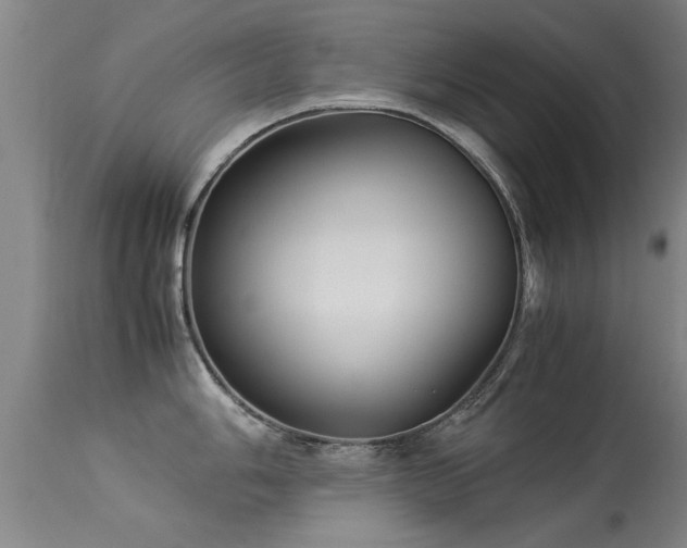 X0000113291006200909211059