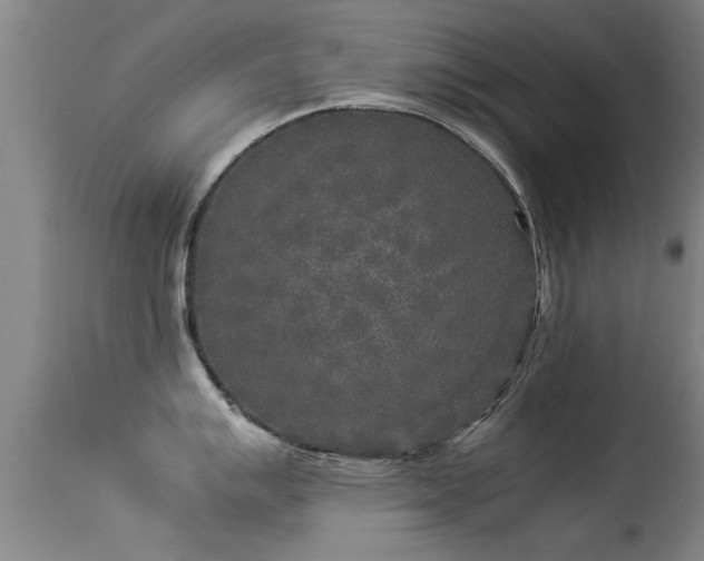 X0000113291007200909211059