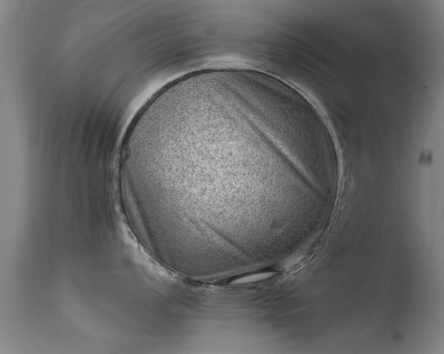 X0000113291008200909211059