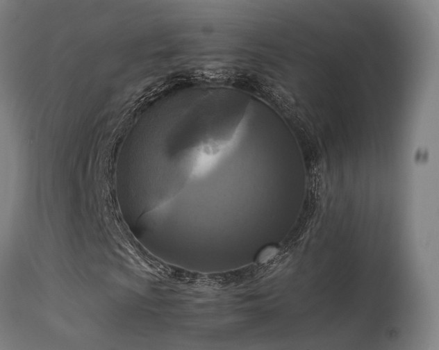 X0000113291009200909211058