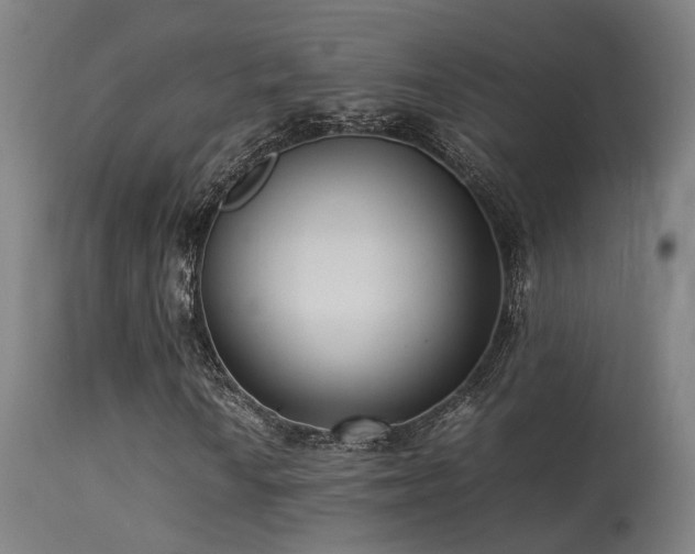 X0000113291010200909211058