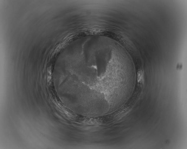 X0000113291011200909211059