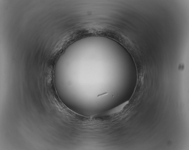 X0000113291012200909211059