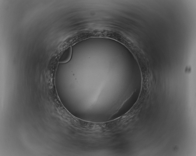 X0000113291013200909211059