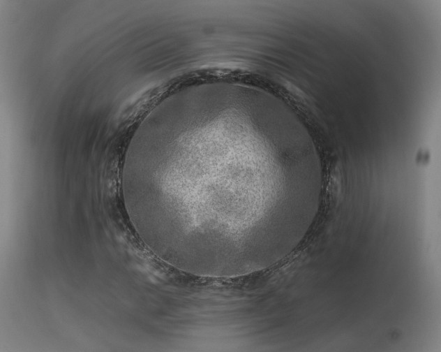 X0000113291014200909211059