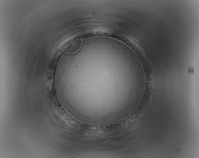 X0000113291015200909211059